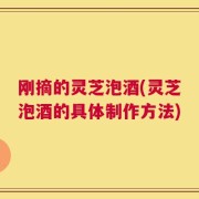 刚摘的灵芝泡酒(灵芝泡酒的具体制作方法)