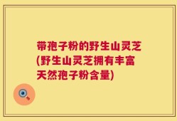 带孢子粉的野生山灵芝(野生山灵芝拥有丰富天然孢子粉含量)