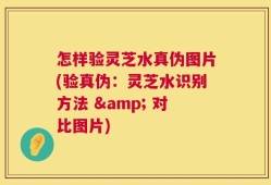 怎样验灵芝水真伪图片(验真伪：灵芝水识别方法 & 对比图片)