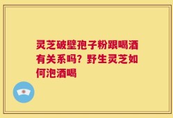 灵芝破壁孢子粉跟喝酒有关系吗？野生灵芝如何泡酒喝