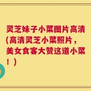 灵芝妹子小菜图片高清(高清灵芝小菜照片，美女食客大赞这道小菜！)