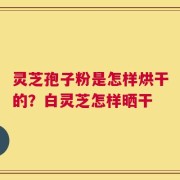 灵芝孢子粉是怎样烘干的？白灵芝怎样晒干