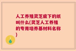 人工养殖灵芝底下的纸叫什么(灵芝人工养殖的专用培养基材料名称)