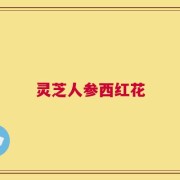 灵芝人参西红花