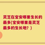 灵芝在宝安哪里生长的最多(宝安哪里是灵芝最多的生长地？)