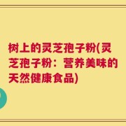 树上的灵芝孢子粉(灵芝孢子粉：营养美味的天然健康食品)