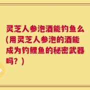灵芝人参泡酒能钓鱼么(用灵芝人参泡的酒能成为钓鲤鱼的秘密武器吗？)