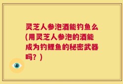 灵芝人参泡酒能钓鱼么(用灵芝人参泡的酒能成为钓鲤鱼的秘密武器吗？)