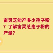亩灵芝能产多少孢子粉？了解亩灵芝孢子粉的产量？