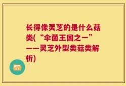 长得像灵芝的是什么菇类(“伞菌王国之一”——灵芝外型类菇类解析)