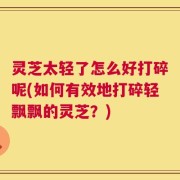 灵芝太轻了怎么好打碎呢(如何有效地打碎轻飘飘的灵芝？)