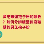 灵芝破壁孢子粉的颜色？如何分辨破壁和没破壁的灵芝孢子粉