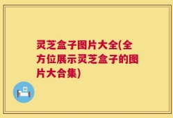 灵芝盒子图片大全(全方位展示灵芝盒子的图片大合集)