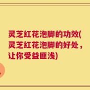 灵芝红花泡脚的功效(灵芝红花泡脚的好处，让你受益匪浅)
