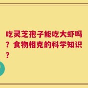 吃灵芝孢子能吃大虾吗？食物相克的科学知识？