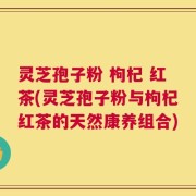灵芝孢子粉 枸杞 红茶(灵芝孢子粉与枸杞红茶的天然康养组合)