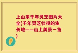 上山采千年灵芝图片大全(千年灵芝壮观的生长地——山上美景一览)