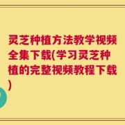 灵芝种植方法教学视频全集下载(学习灵芝种植的完整视频教程下载)