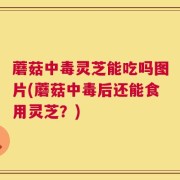 蘑菇中毒灵芝能吃吗图片(蘑菇中毒后还能食用灵芝？)