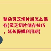 整朵灵芝切片后怎么保存(灵芝切片储存技巧，延长保鲜利用期)