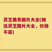 灵芝最贵图片大全(精选灵芝图片大全，价格不菲)