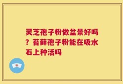 灵芝孢子粉做盆景好吗？苔藓孢子粉能在吸水石上种活吗