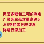 灵芝多糖和三萜的测定？灵芝三萜含量高达5.66克的灵芝应该怎样进行深加工