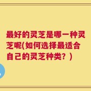 最好的灵芝是哪一种灵芝呢(如何选择最适合自己的灵芝种类？)