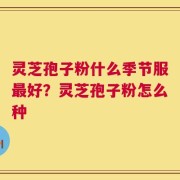 灵芝孢子粉什么季节服最好？灵芝孢子粉怎么种