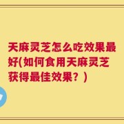 天麻灵芝怎么吃效果最好(如何食用天麻灵芝获得最佳效果？)