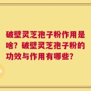 破壁灵芝孢子粉作用是啥？破壁灵芝孢子粉的功效与作用有哪些？