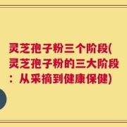 灵芝孢子粉三个阶段(灵芝孢子粉的三大阶段：从采摘到健康保健)