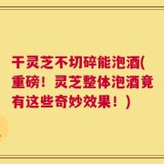 干灵芝不切碎能泡酒(重磅！灵芝整体泡酒竟有这些奇妙效果！)