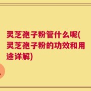 灵芝孢子粉管什么呢(灵芝孢子粉的功效和用途详解)