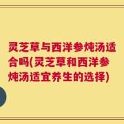 灵芝草与西洋参炖汤适合吗(灵芝草和西洋参炖汤适宜养生的选择)