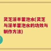 灵芝淫羊藿泡水(灵芝与淫羊藿泡水的功效与制作方法)