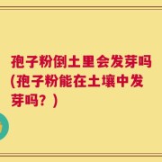 孢子粉倒土里会发芽吗(孢子粉能在土壤中发芽吗？)