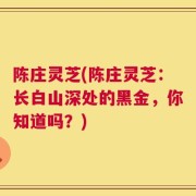 陈庄灵芝(陈庄灵芝：长白山深处的黑金，你知道吗？)