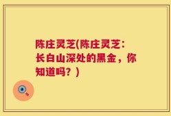 陈庄灵芝(陈庄灵芝：长白山深处的黑金，你知道吗？)