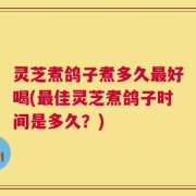灵芝煮鸽子煮多久最好喝(最佳灵芝煮鸽子时间是多久？)