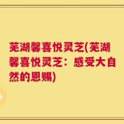 芜湖馨喜悦灵芝(芜湖馨喜悦灵芝：感受大自然的恩赐)