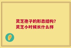 灵芝孢子的形态结构？灵芝小时候长什么样