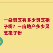 一朵灵芝有多少灵芝孢子粉？一亩地产多少灵芝孢子粉