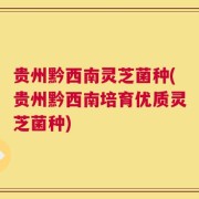 贵州黔西南灵芝菌种(贵州黔西南培育优质灵芝菌种)