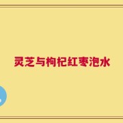 灵芝与枸杞红枣泡水