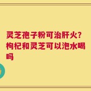 灵芝孢子粉可治肝火？枸杞和灵芝可以泡水喝吗