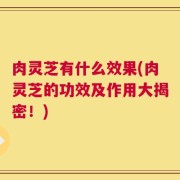 肉灵芝有什么效果(肉灵芝的功效及作用大揭密！)