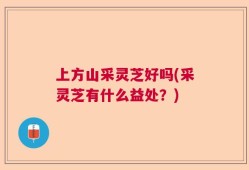 上方山采灵芝好吗(采灵芝有什么益处？)