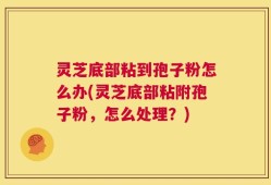 灵芝底部粘到孢子粉怎么办(灵芝底部粘附孢子粉，怎么处理？)