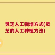 灵芝人工栽培方式(灵芝的人工种植方法)